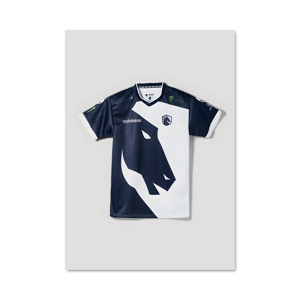 Poster Team de liquid